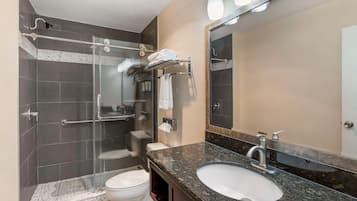 A modern bathroom with a glass-enclosed shower, a white toilet, a granite countertop, and a large mirror.
