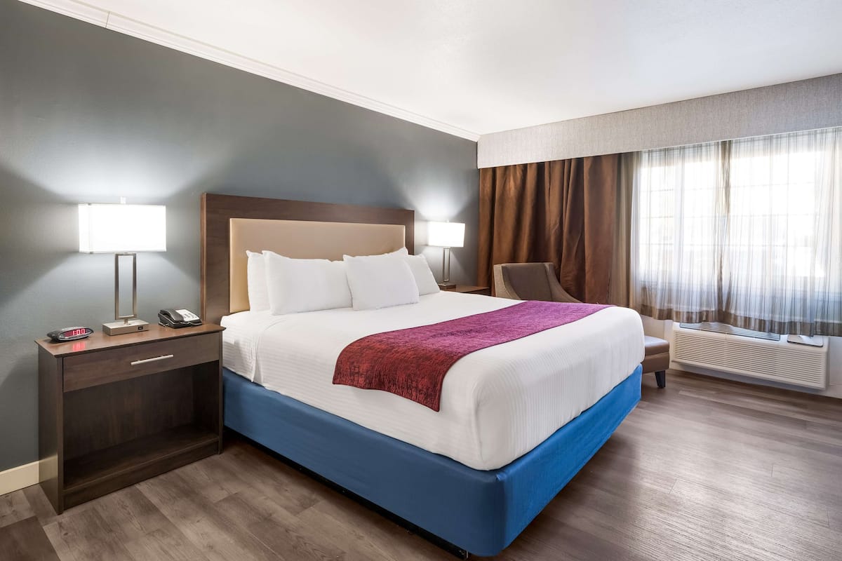 Standard Room, 1 King Bed, Accessible, Non Smoking | Premium bedding, down comforters, pillowtop beds, desk