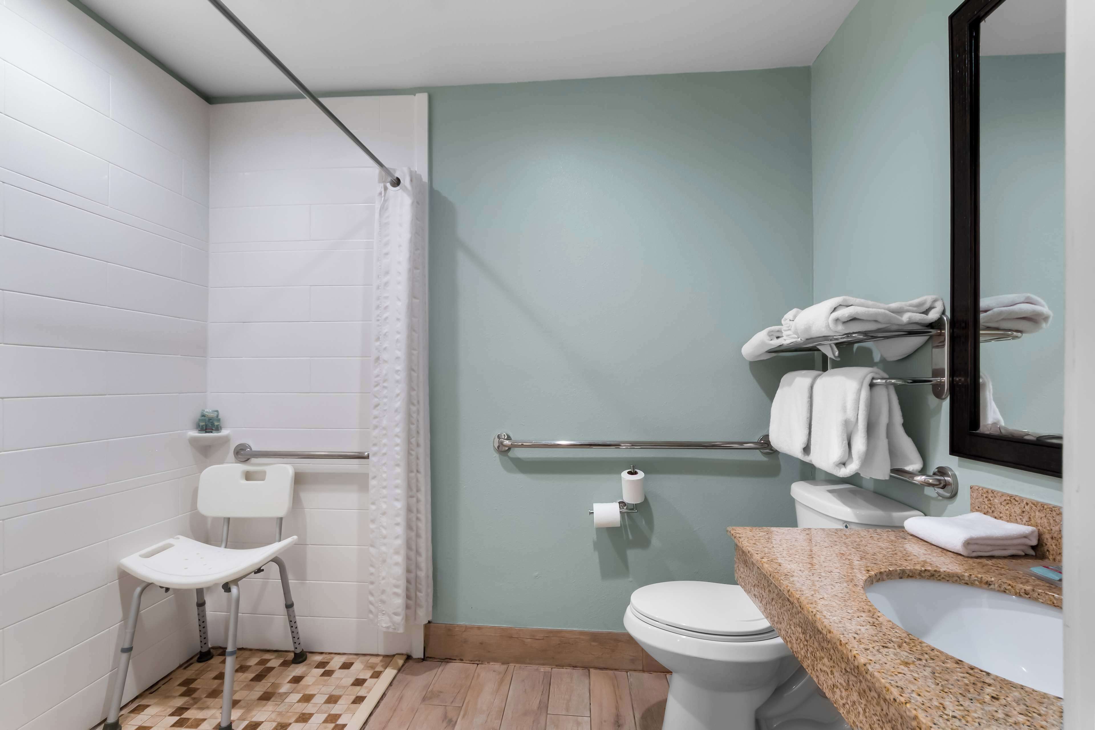 combined shower/bathtub, free toiletries, hair dryer, towels