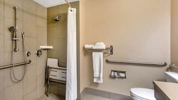 A bathroom with a shower, toilet, and handrails.