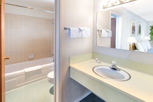 Bañera, secador de pelo, toallas