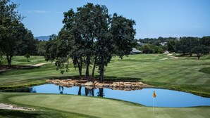 Un parcours de golf avec un étang, des arbres et un mât de drapeau.