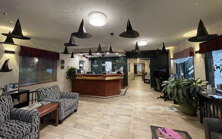 A hotel lobby with a reception desk, patterned sofas, a coffee table, and a large potted plant.
