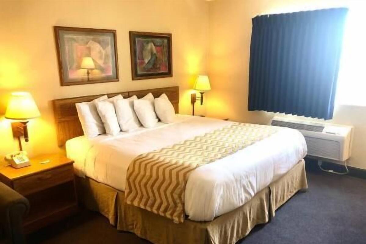 Habitación de hotel con una cama, dos lámparas de noche, una mesita de noche, una ventana con cortinas y dos cuadros en la pared.