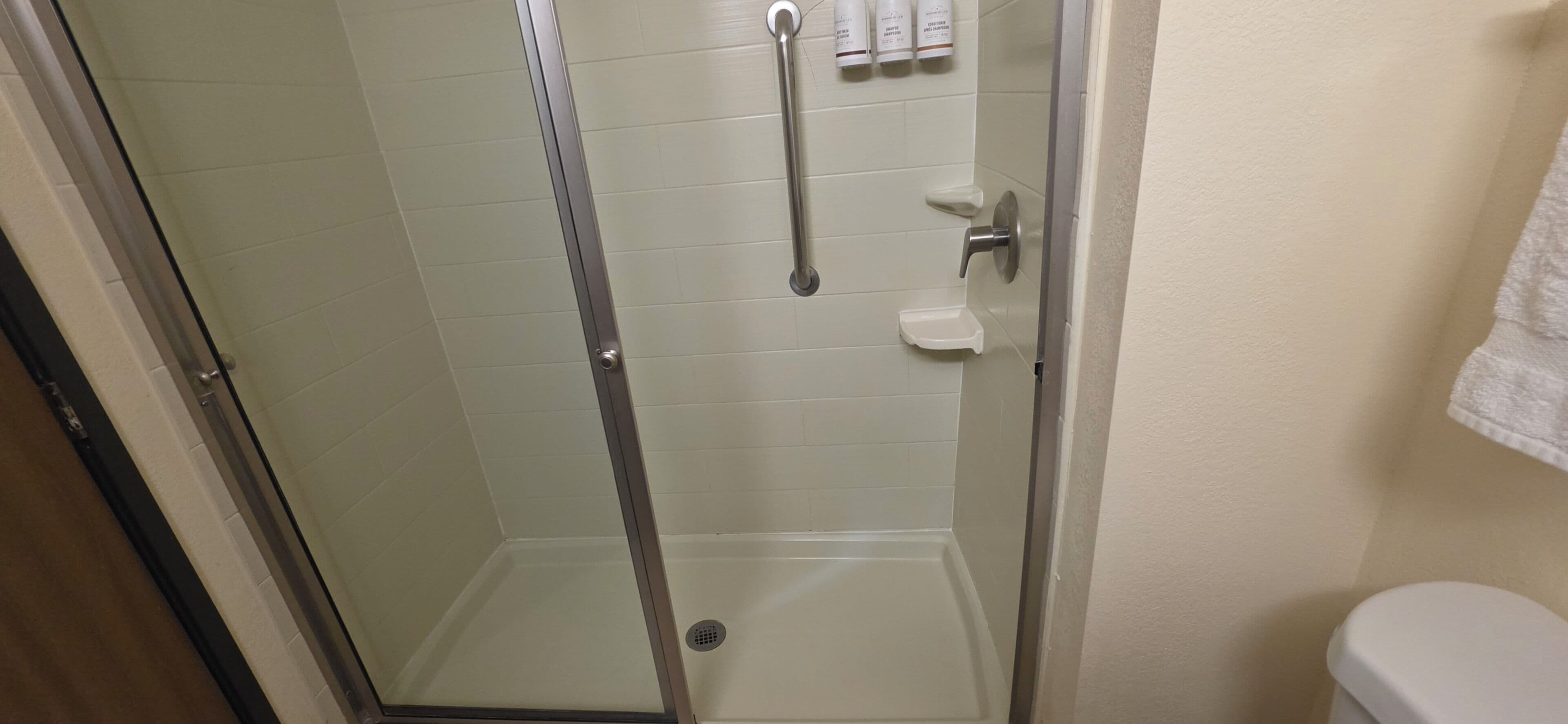 A shower with a glass door, a white toilet, and a towel rack with three bottles.