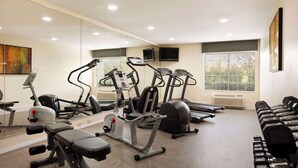 Uma academia com equipamentos de cardio, bancos de peso e halteres.
