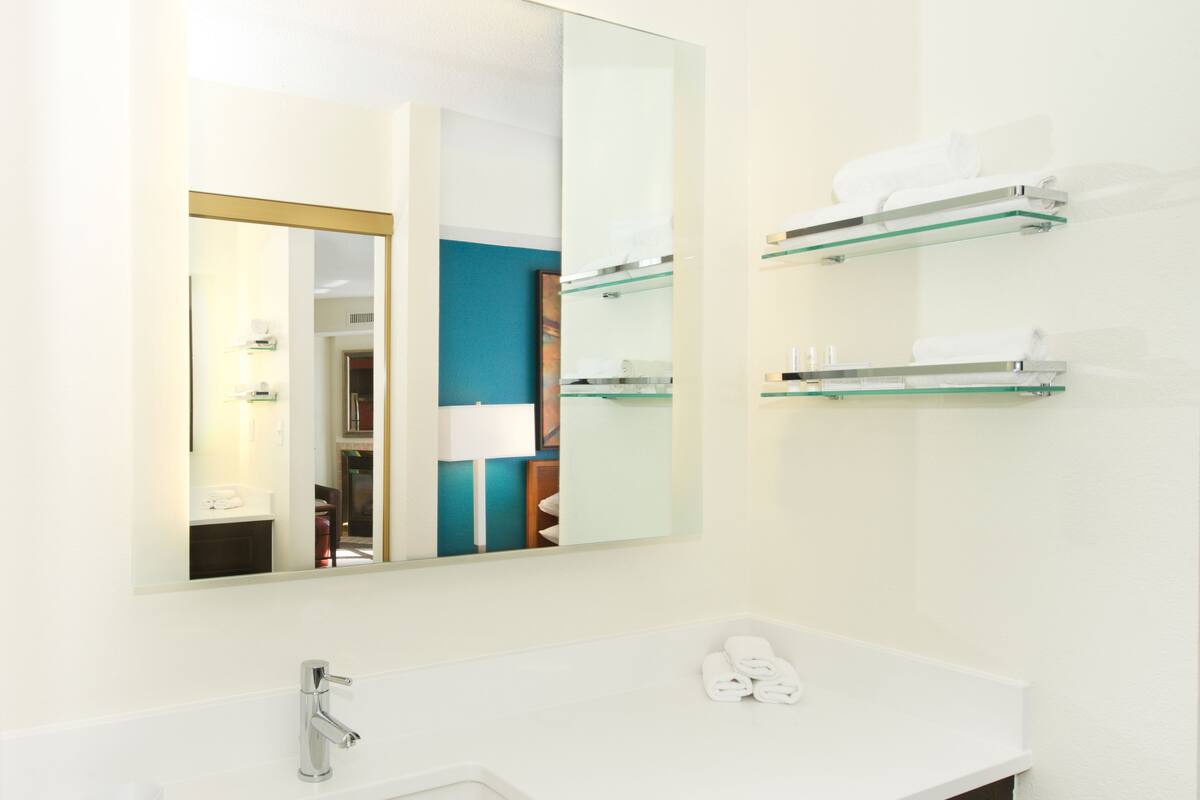 combined shower/bathtub, free toiletries, hair dryer, towels