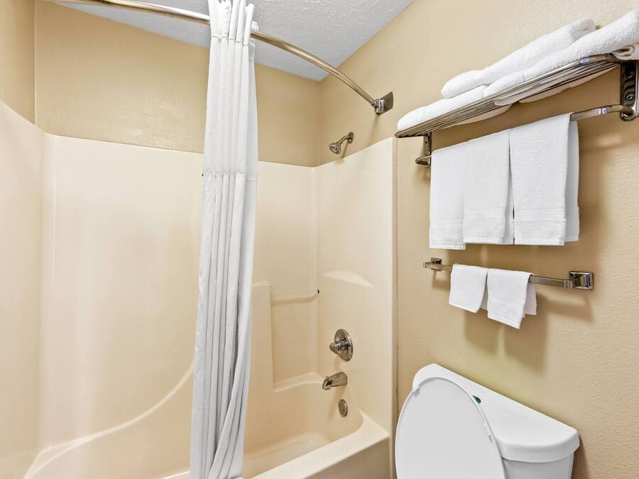 A bathroom with a shower, toilet, and towel rack.
