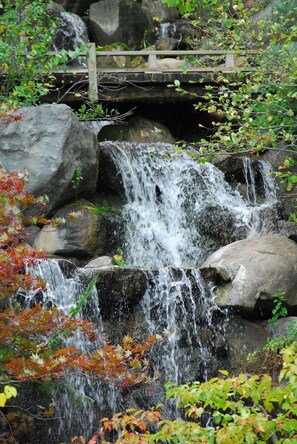 Point of interest - Radisson Hotel and Conference Center Rockford (Rockford)
