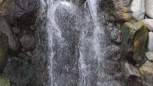 Una cascata che scorre su rocce in un ambiente naturale.