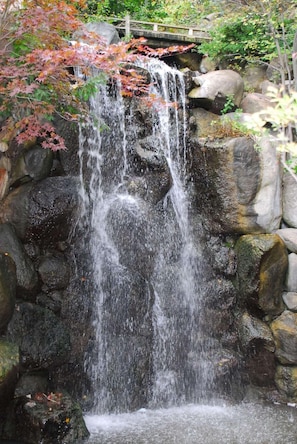 A waterfall cascading over rocks in a natural setting. - Radisson Hotel and Conference Center Rockford (Rockford)