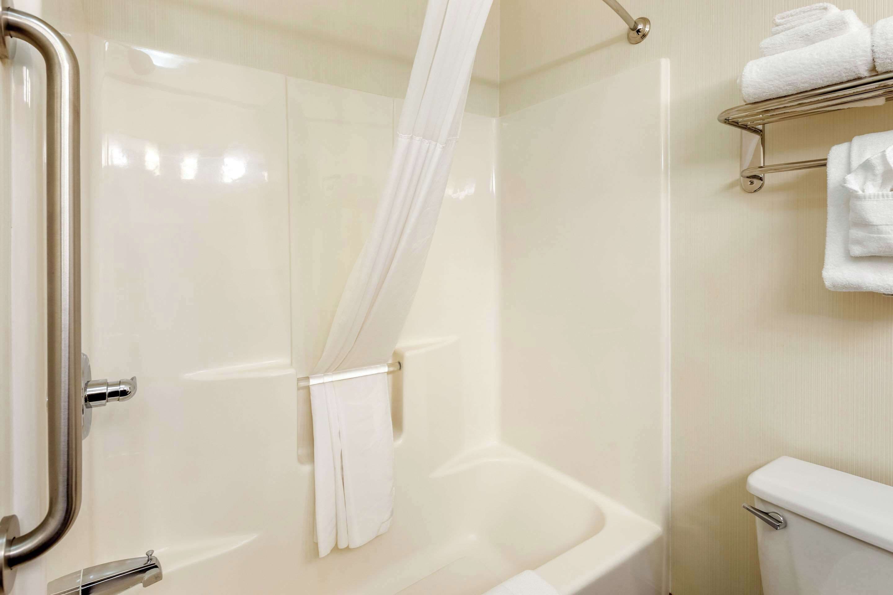 A bathroom with a shower, toilet, and towel rack.