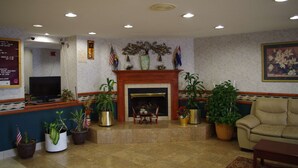 A lobby with a fireplace, several potted plants, a television, and a sofa.