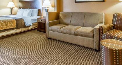 Quality Inn & Suites Mount Pleasant