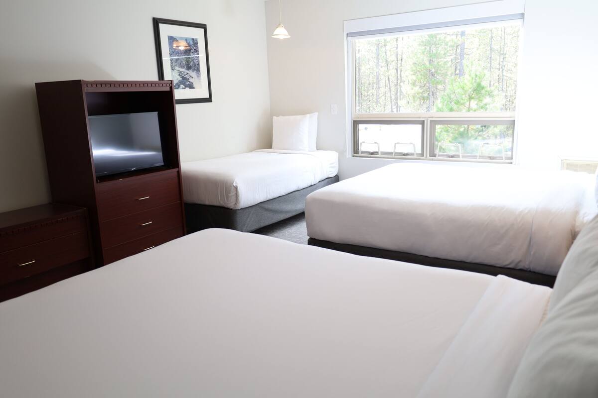 A hotel room with two single beds, a wooden dresser, a TV, and a window with a view of trees.