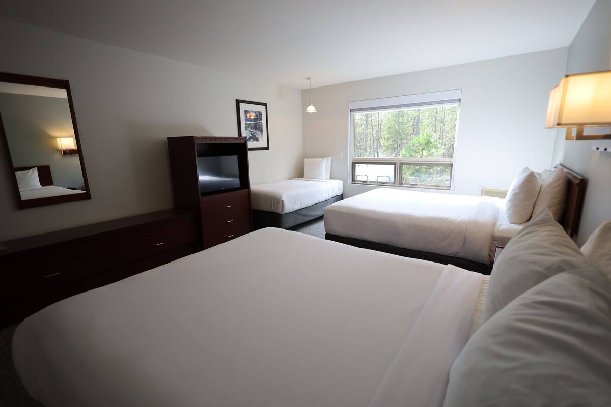 A hotel room with two single beds, a dresser, a TV, and a window with a view of trees.