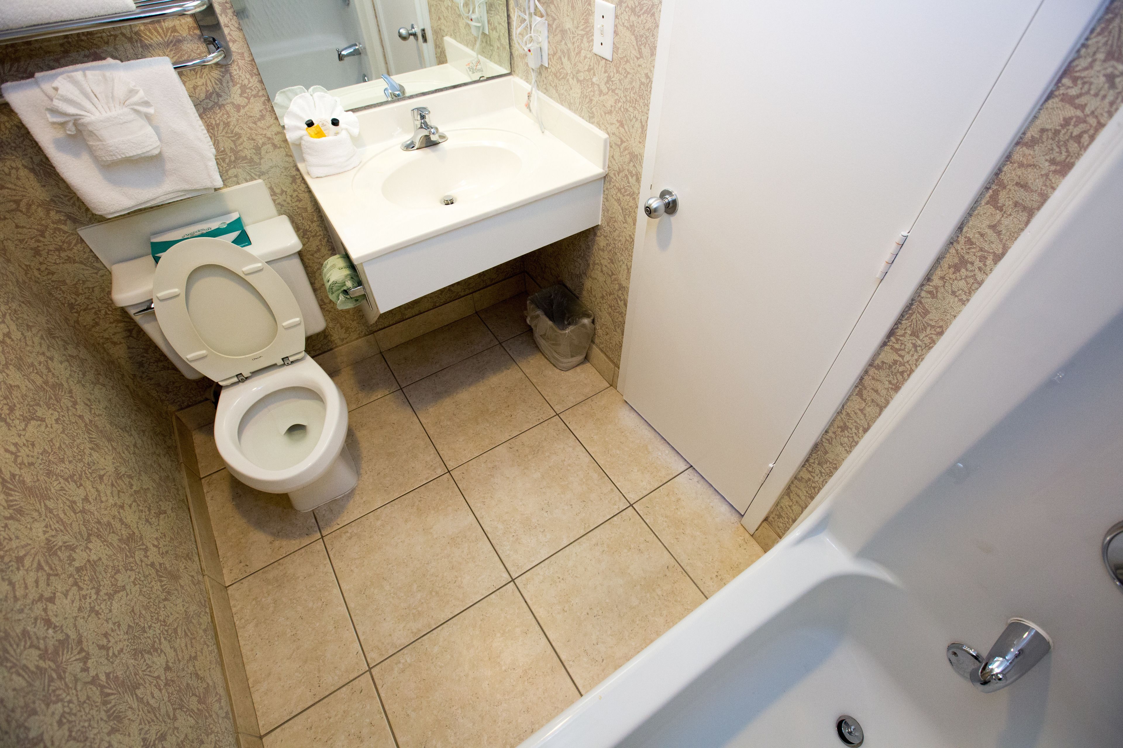 combined shower/bathtub, free toiletries, hair dryer, towels