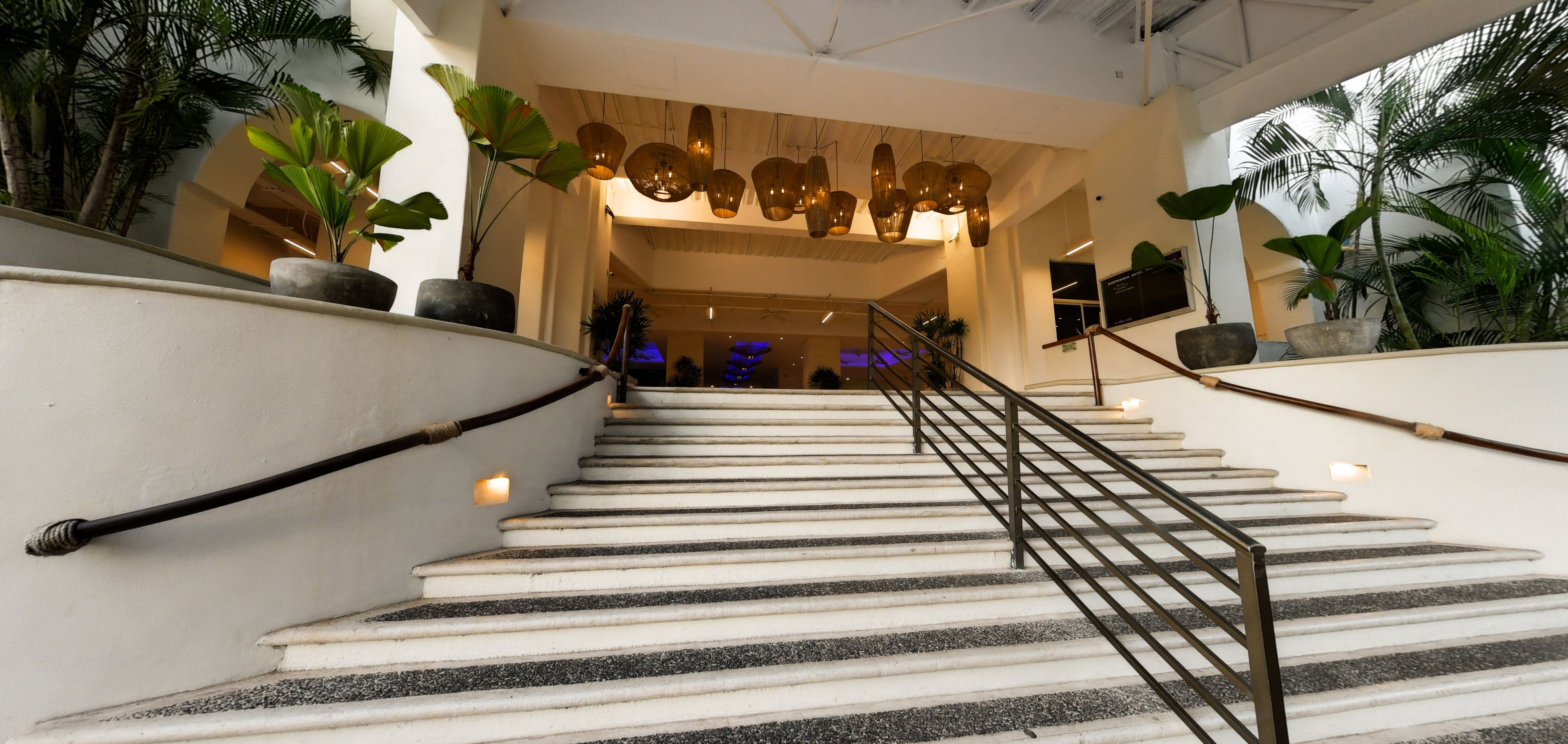 A staircase with a handrail, leading to a lobby area with a ceiling light fixture and potted plants.