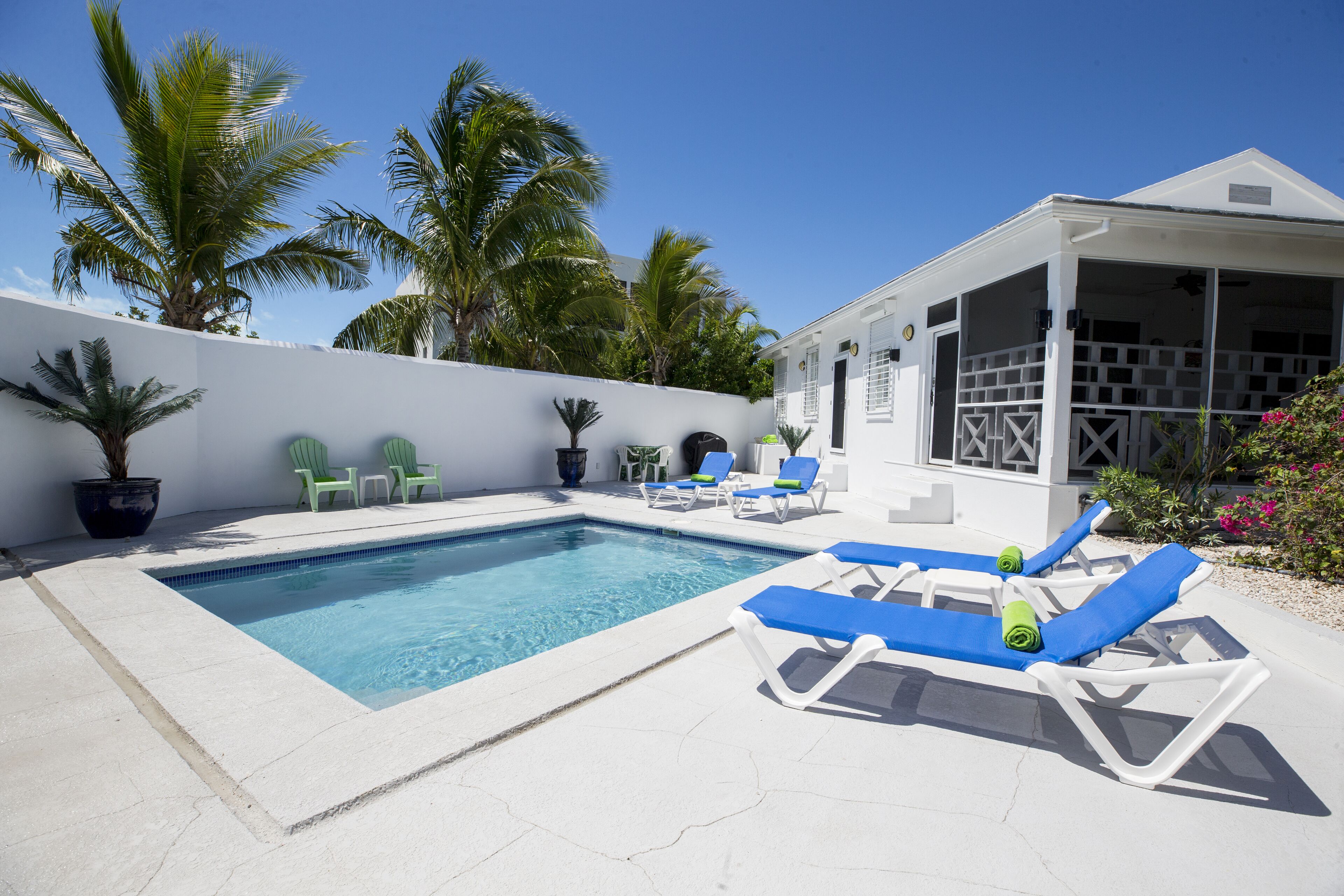 A swimming pool with lounge chairs, a covered area, and palm trees.