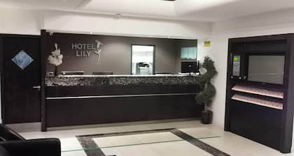 Hotel Lily