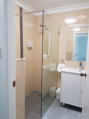 Apartamento, 2 quartos | Banheiro | Chuveiro, produtos de toalete grátis, secador de cabelo 