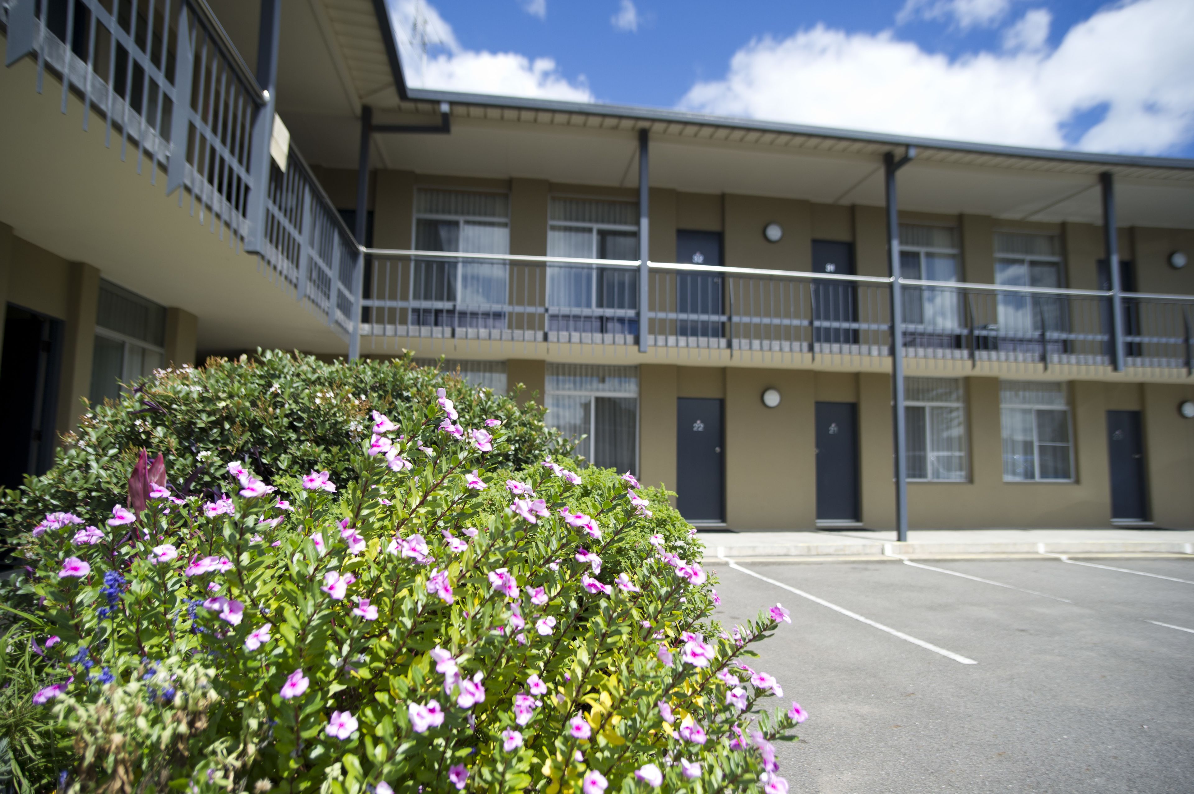 A multi-story motel with balconies, a parking lot, and a well-maintained garden with pink flowers.