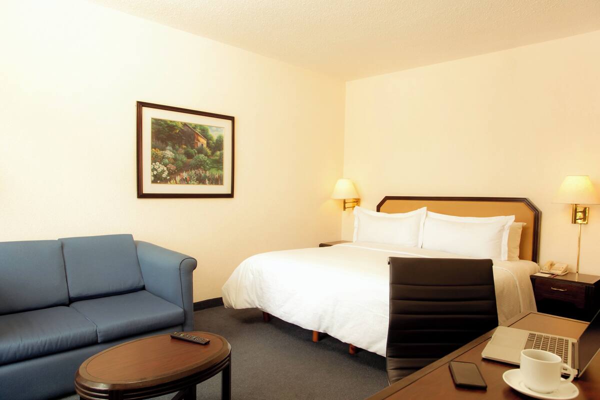 Une chambre d’hôtel avec un lit, un canapé bleu, un bureau avec un ordinateur portable, une tasse à café et un tableau encadré au mur.