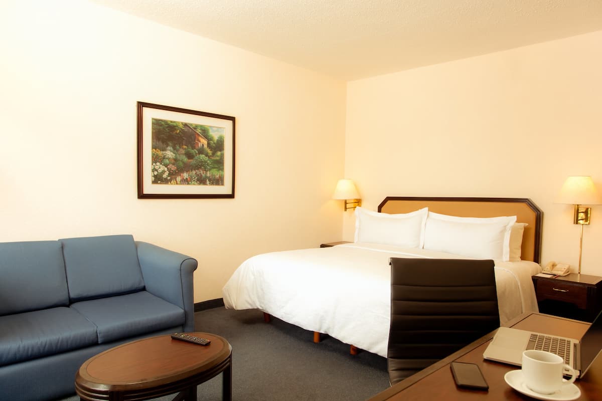 Superior Room, 1 king | In-room safe, desk, blackout curtains, iron/ironing board