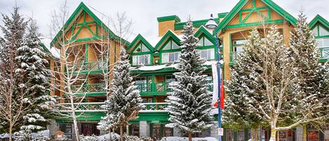 A multi-story building with green and brown exterior walls, surrounded by snow-covered trees and a clear sky.
