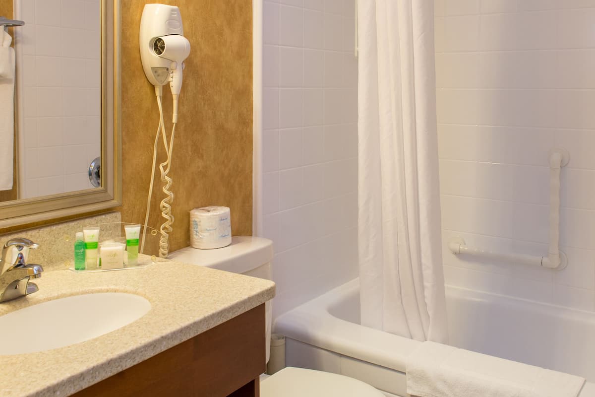 standard room | bathroom | combined shower/bathtub, free toiletries, hair dryer, towels