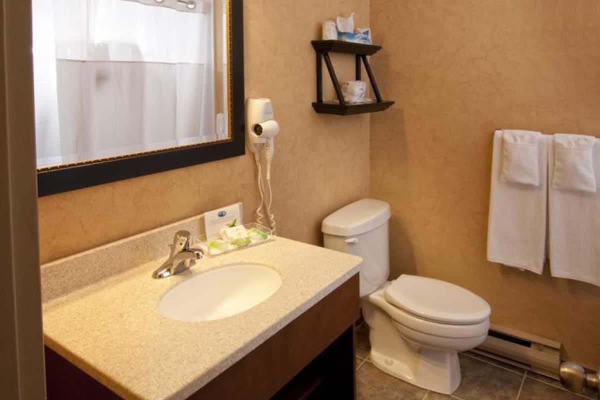 combined shower/bathtub, free toiletries, hair dryer, towels