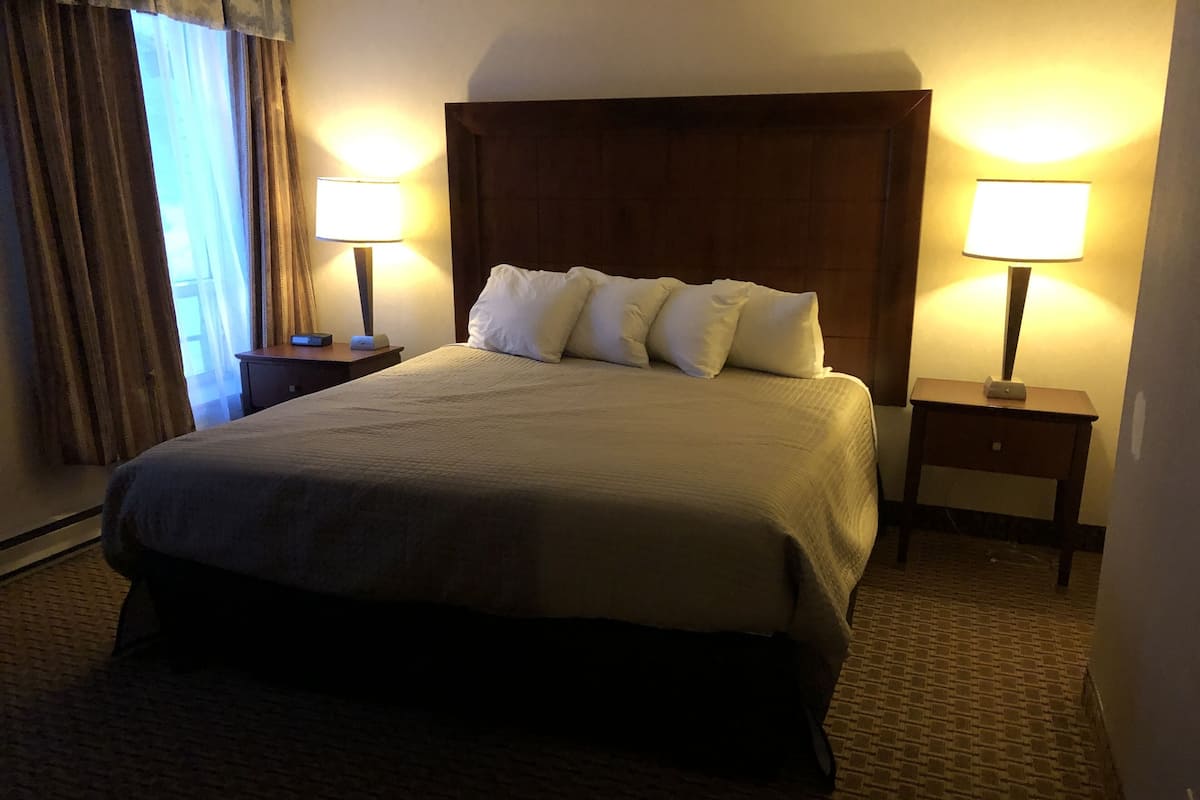 Deluxe King Suite with Sofa bed | 1 bedroom, desk, blackout drapes, iron/ironing board