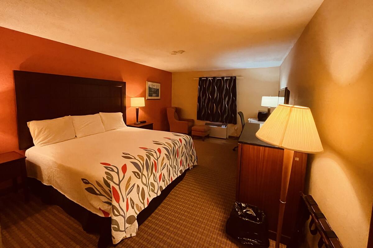 Una habitación de hotel con una cama grande, un escritorio con lámpara, una silla y un cubo de basura.