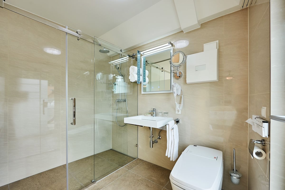 premium double room, balcony | bathroom | shower, free toiletries, hair dryer, towels