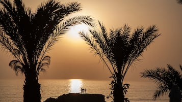 الإطلالة من المنشأة