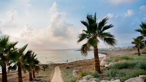 A coastal path with palm trees leading to a beach. - Helios Bay Hotel Apartments (Chlorakas)