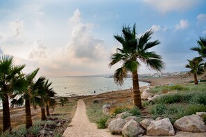 On the beach, sun loungers, beach umbrellas, windsurfing - Helios Bay Hotel Apartments (Chlorakas)