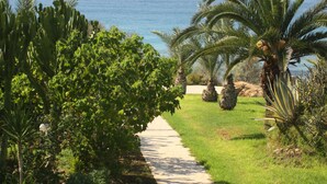 A pathway leading to a beach with palm trees and a clear view of the ocean. - Helios Bay Hotel Apartments (Chlorakas)