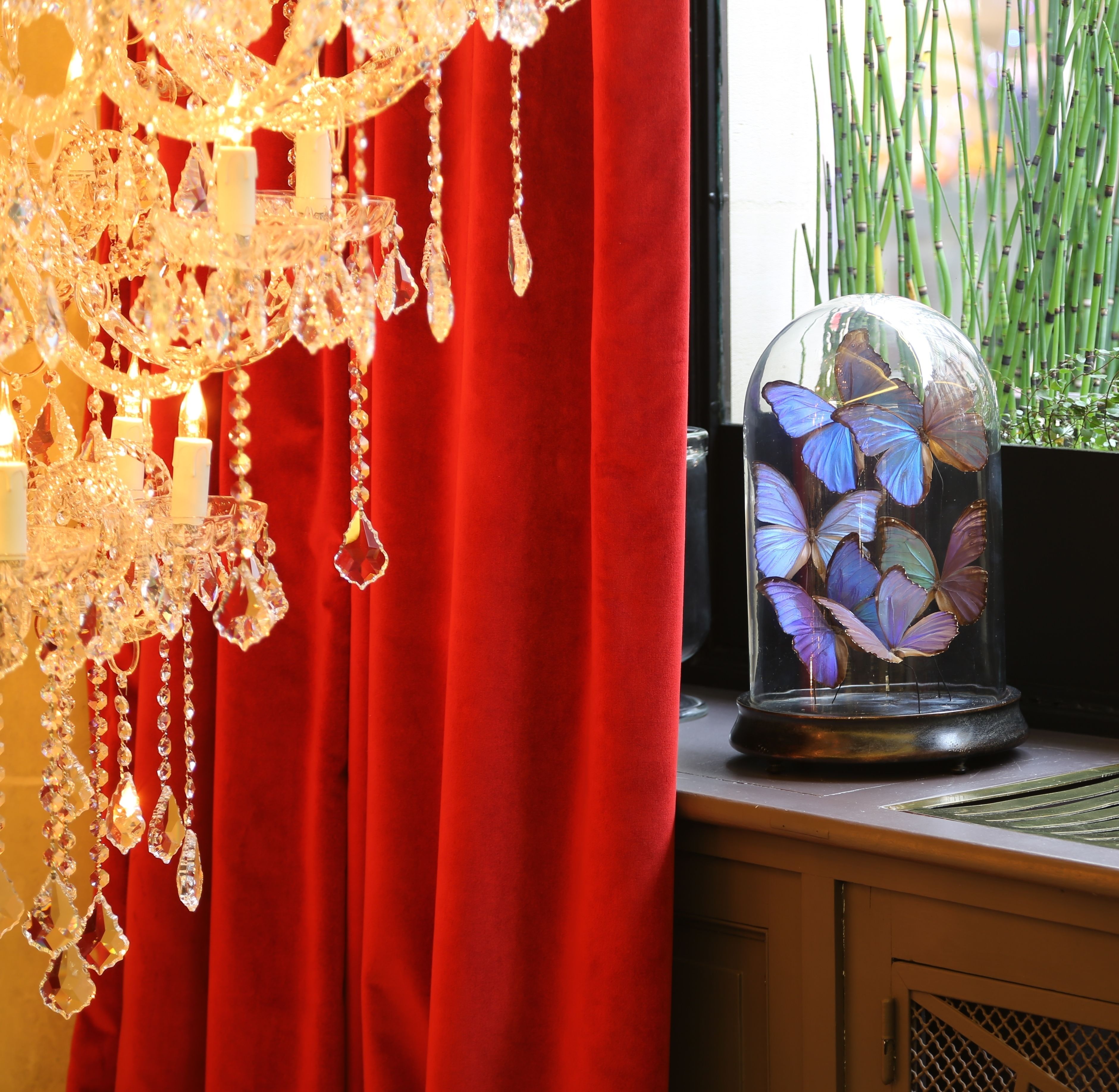 A room with a red curtain, a chandelier, and a glass dome containing butterflies.
