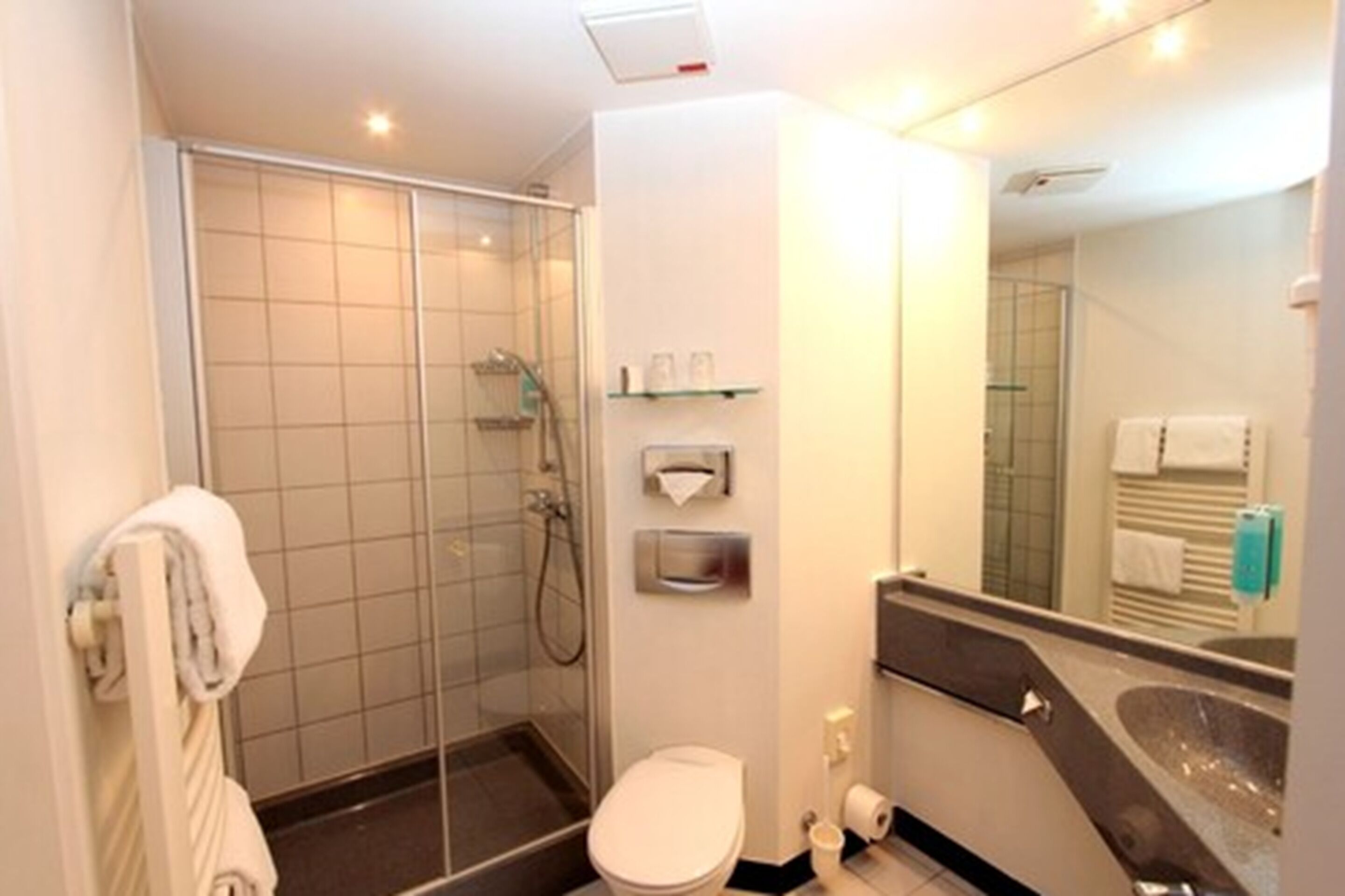 Een moderne badkamer met een douchecabine van glas, een toilet, een wastafel met een grote spiegel en een handdoekrek.