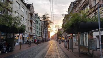A street with tram tracks, buildings, and trees.