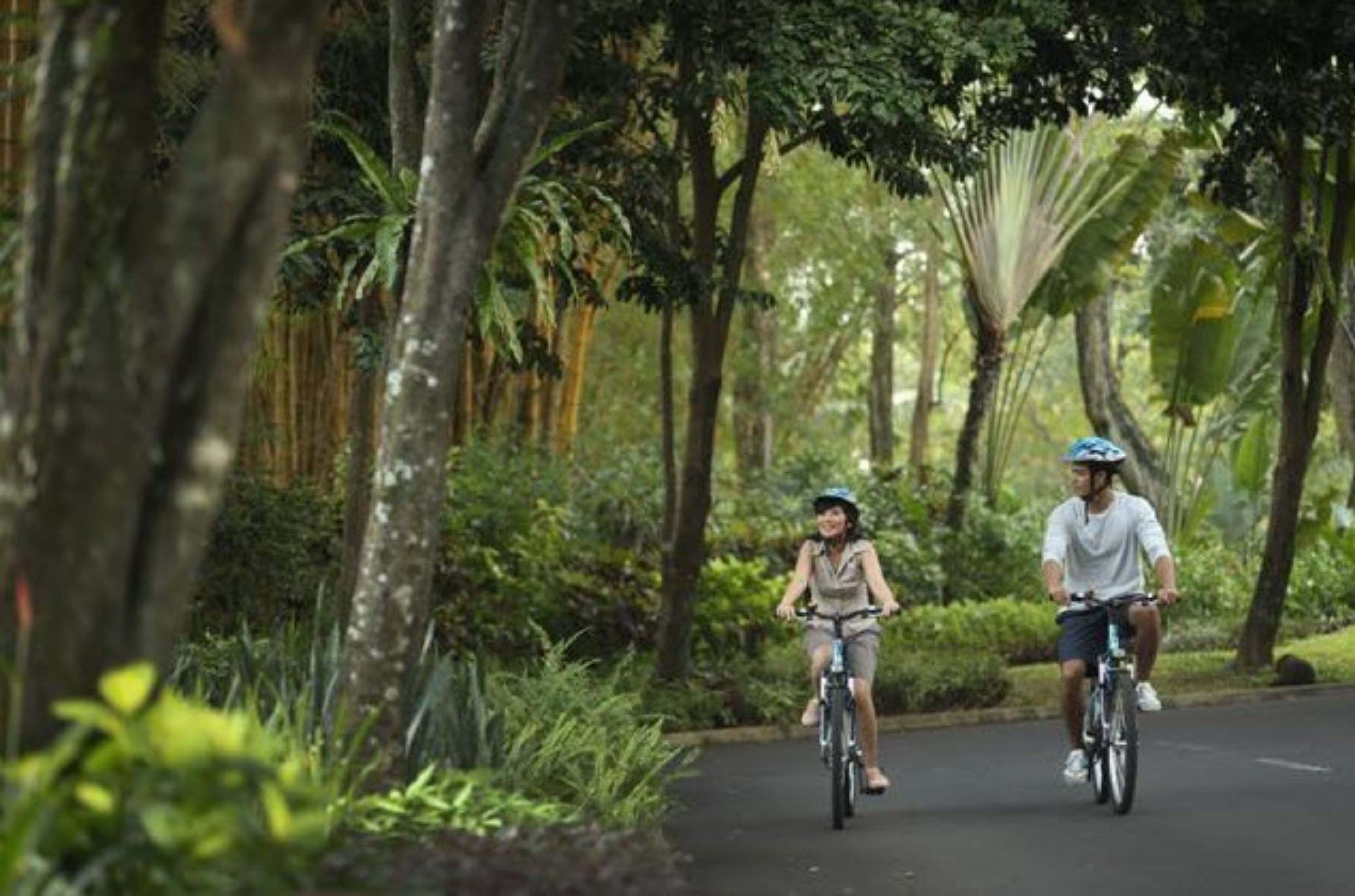 Two people riding bicycles on a tree-lined path.