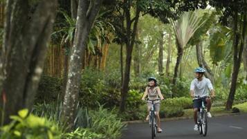 Two people riding bicycles on a tree-lined path.