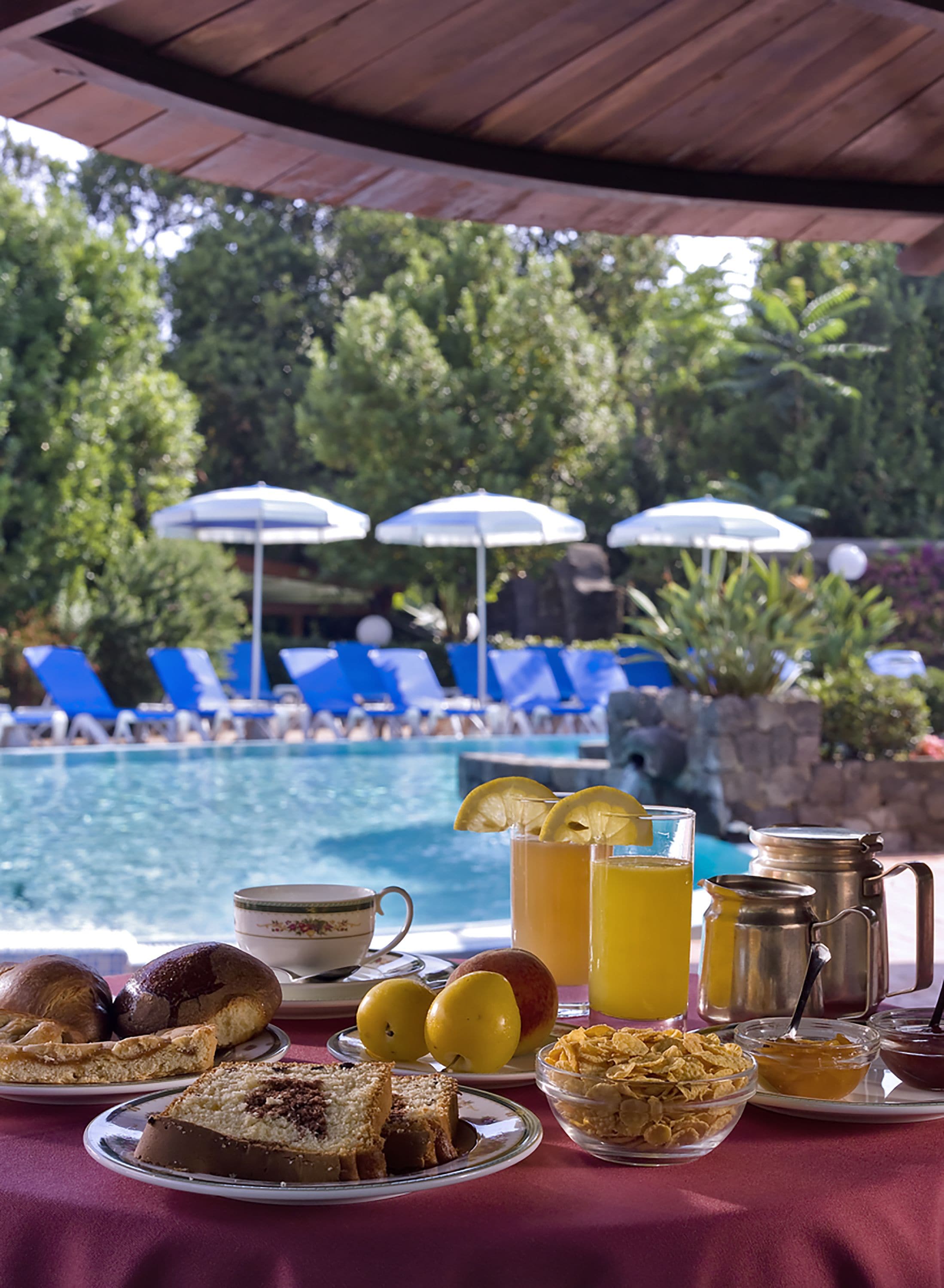 Foto - Hotel Regina Palace Terme