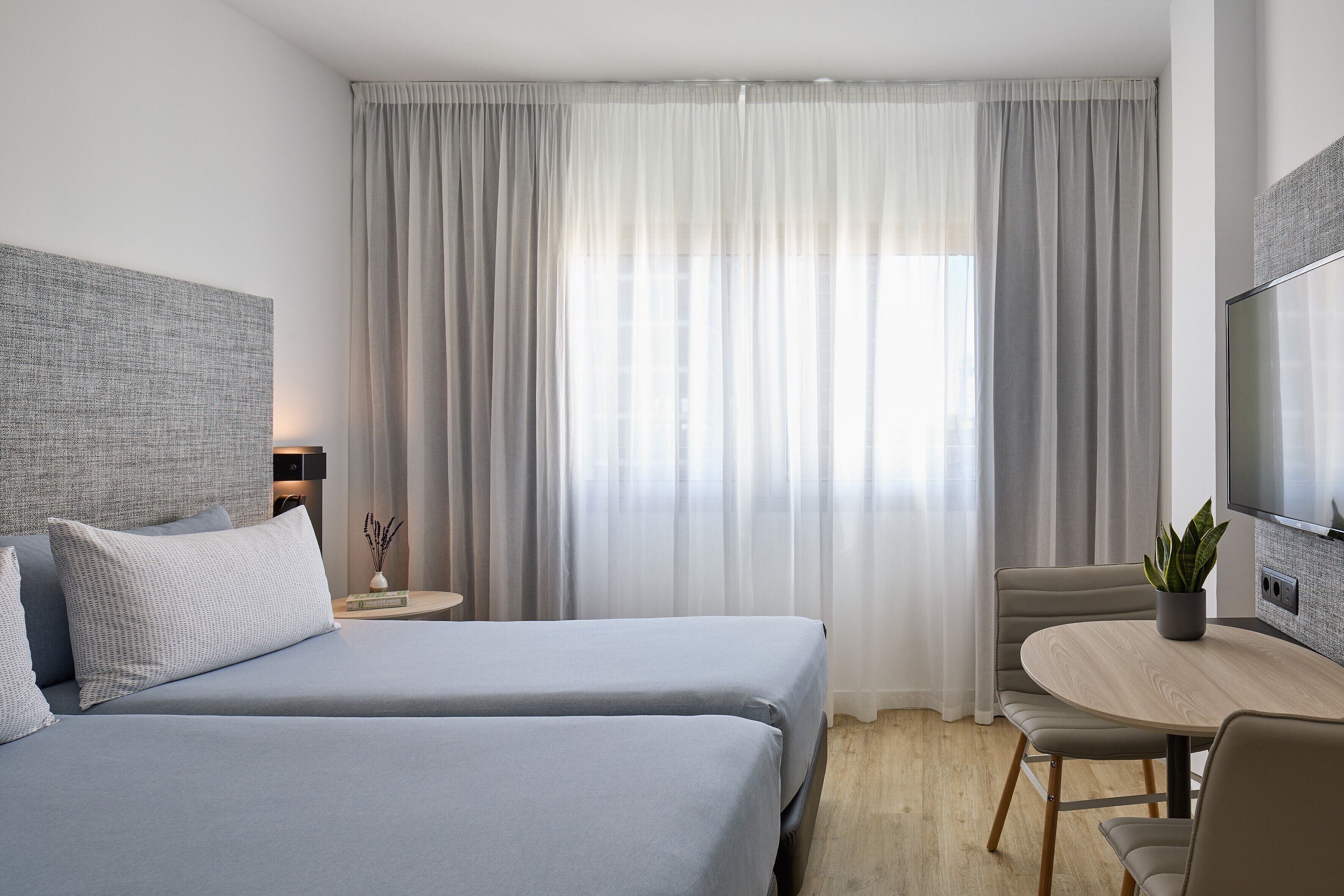 Une chambre d’hôtel avec deux lits, une télévision, une petite table avec une plante et une fenêtre avec des rideaux.