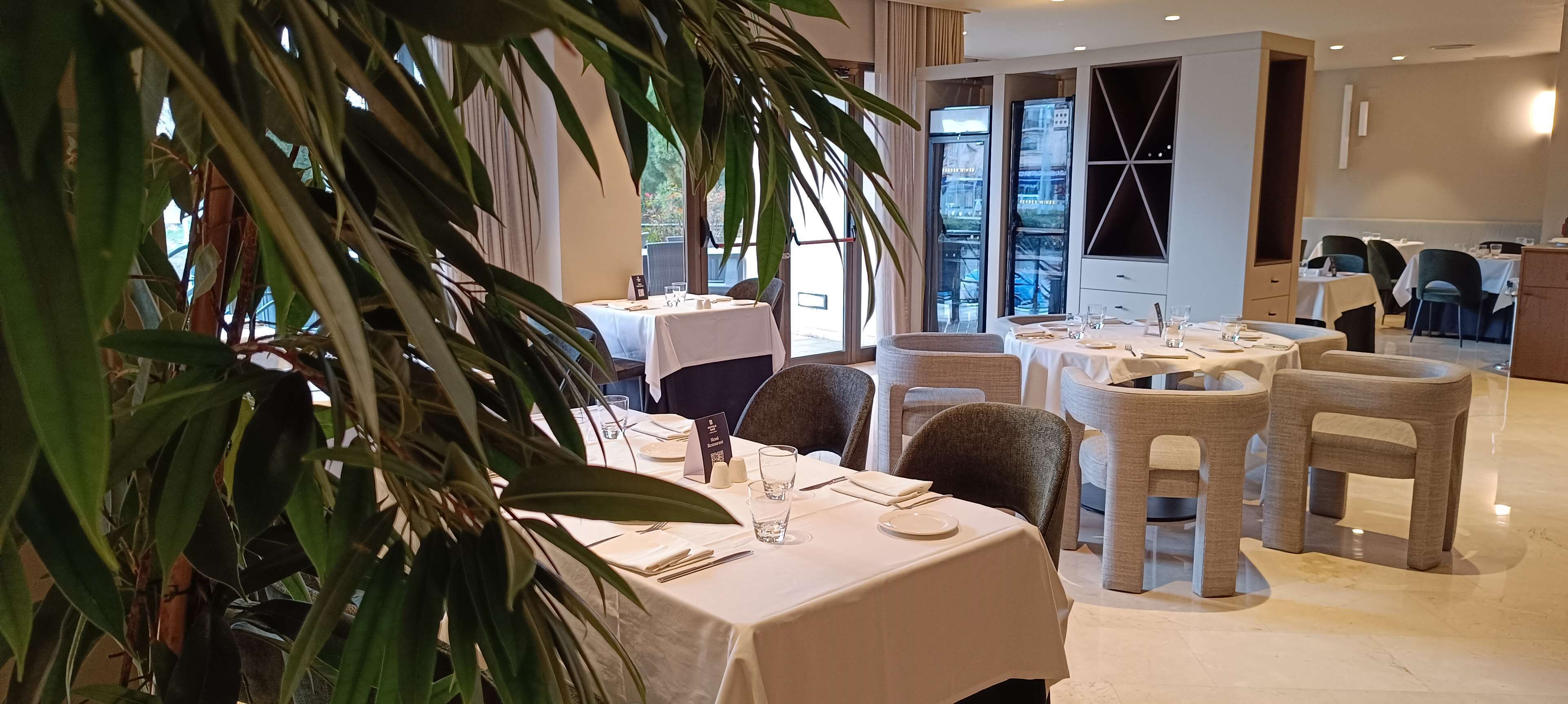 A restaurant with round tables, chairs, and a large potted plant in the foreground.