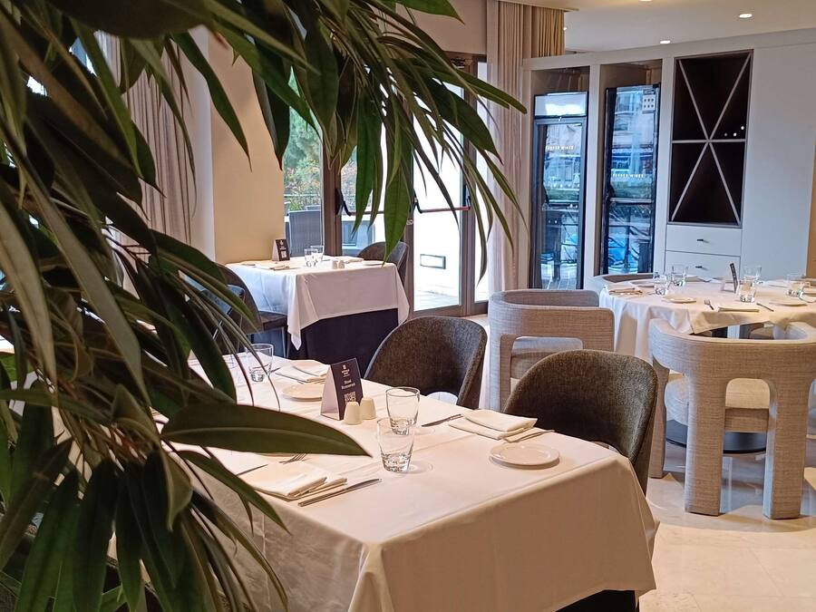 A restaurant with round tables, chairs, and a large potted plant in the foreground.
