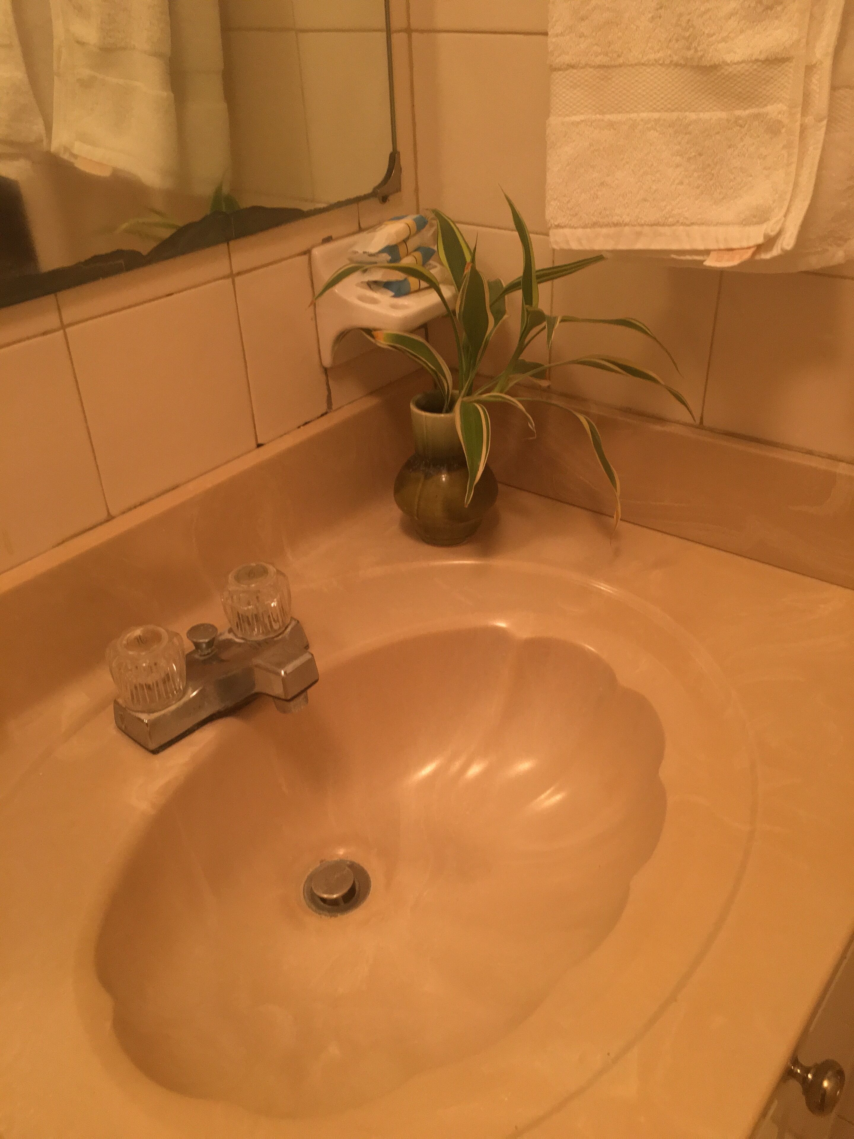 Een wastafel met een enkele kraan, een kleine plant in een pot en een spiegel erboven.