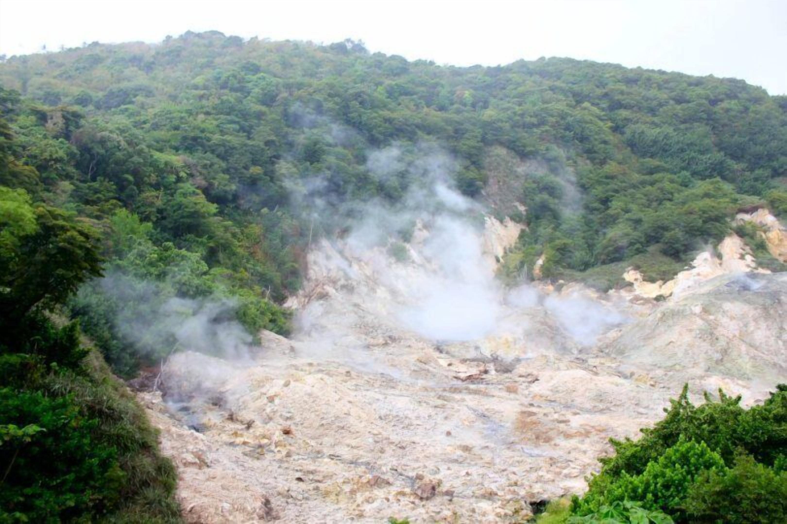 A geothermal area with steam rising from the ground, surrounded by dense forest.