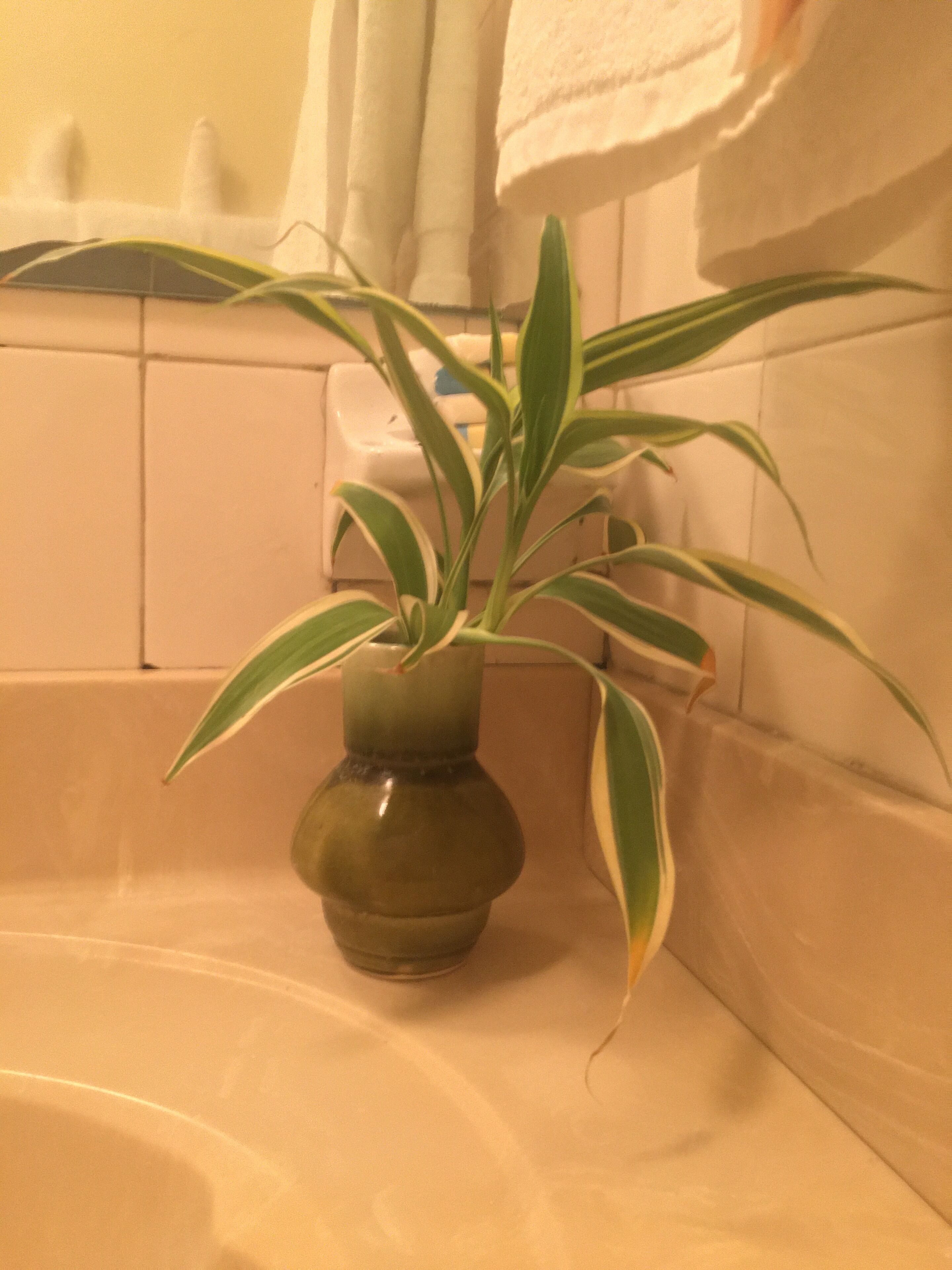 A bathroom with a green vase containing a plant on the counter.